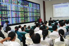 Vietnam's volatile stock market draws money, needs depth