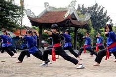 First World martial art championship takes place in HCM City
