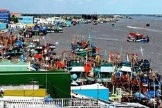 Thousands of fishermen head to sea during Tet