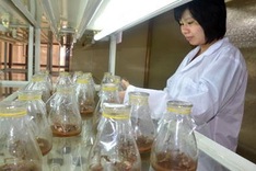 Vietnam pilots public-private partnerships in agriculture