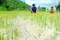 World Bank approves US$310 million for climate change response in Vietnam