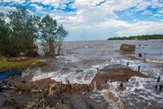 European countries implement climate change projects in Mekong Delta