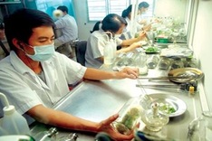 Overseas Vietnamese join economic talks