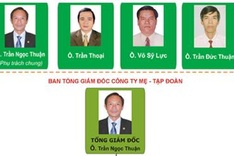 New chairman assigned to Vietnam Rubber Group