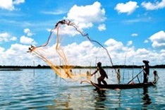 Ca Mau Cape national park to become world Ramsar