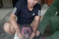 Facebook user investigated for animal cruelty