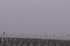 Thanh Hoa oyster farmers face huge losses