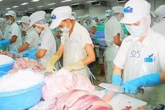 Vietnam recognises pioneers in responsibly-farmed tra fish