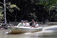 Ho Chi Minh City sees foreign arrival rise