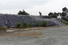 Vietnam, US start 2nd dioxin cleanup