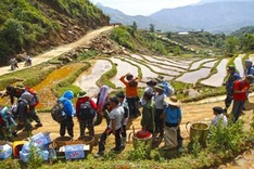 Admiring starry sky on Bach Moc Luong Tu mountain top
