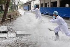 Vietnam takes prompt action against bird flu
