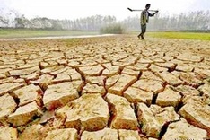 Seminar seeks to improve water management in Ninh Thuan