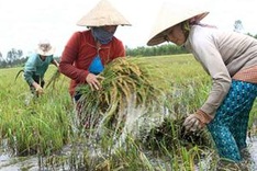 Climate change to inflict huge losses