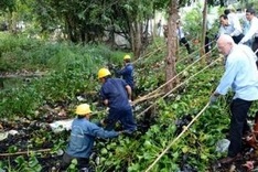 HCM City: Activities held in response to Clean Up the World campaign