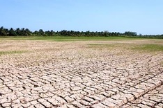 Mekong Delta to face more serious drought, salination