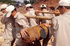 Peace Trees Vietnam hailed for healing war wounds