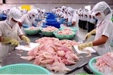 Fisheries Livelihoods Programme under review