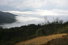 Y Ty "cloud nine" for Valentine visitors