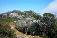 Phia Oac - Phia Den national park established in Cao Bang
