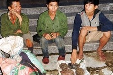 Large-number wild animal traps seized in Quang Binh