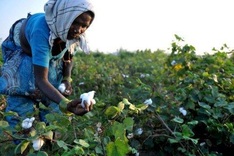 D-Day for crunch biodiversity talks