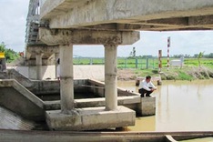 Salt water plagues Delta rice farms