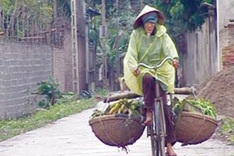 HCM City readies to host anthropology film fest