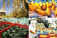 Agro-forestry-aquaculture to earn $1.8 billion in export revenue