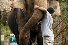 Riding elephant in Buon Don