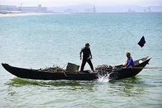 Environment Minister: Central region seawater now safe