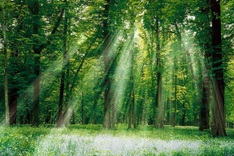 Growing threat to biodiversity