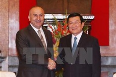 Turkish FM on Vietnam visit to foster ties