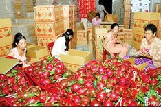 Dragon fruit enters US market