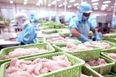 HSBC: Vietnam economy recovering