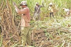 Sugar industry needs drastic reforms