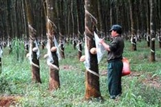 Vietnam among Cambodia’s top five investors