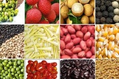 Tariffs to go on hundreds of Vietnam farm products by 2018