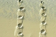 Vietnamese photographer nabs international prize