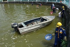 West Lake dead fish toll reaches 200 tonnes