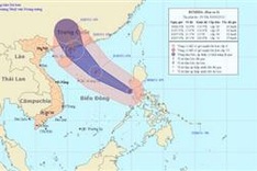 Localities prepare to cope with storm Rumbia