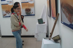 Exhibition on domestic violence in Hanoi