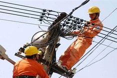 EVN banned from investment in property, finance and securities