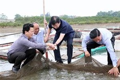 Government demands cautious but quick investigation of mass fish deaths