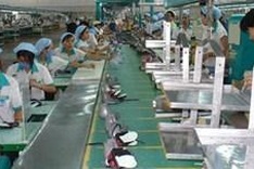 Vietnamese businesses five years after joining the WTO