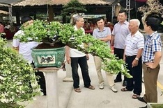 Quang Ninh has first ornamental market