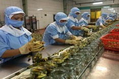 Steering committee to oversee farm exports