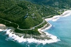 Green guards of Son Tra Nature Reserve