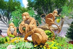 HCM City to ban vehicles from Nguyen Hue Flower Street