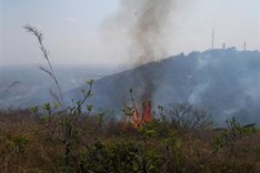 Fire destroys 3ha of Ham Rong Mountain forest